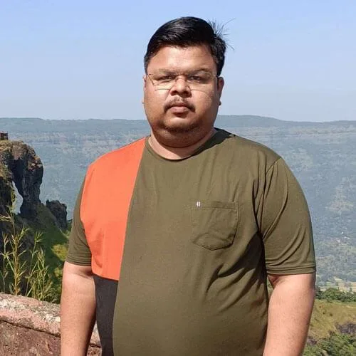 RS WebStudios - WordPress Developer